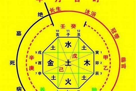 五行 辰|生辰八字算命、五行喜用神查询（免费测算）